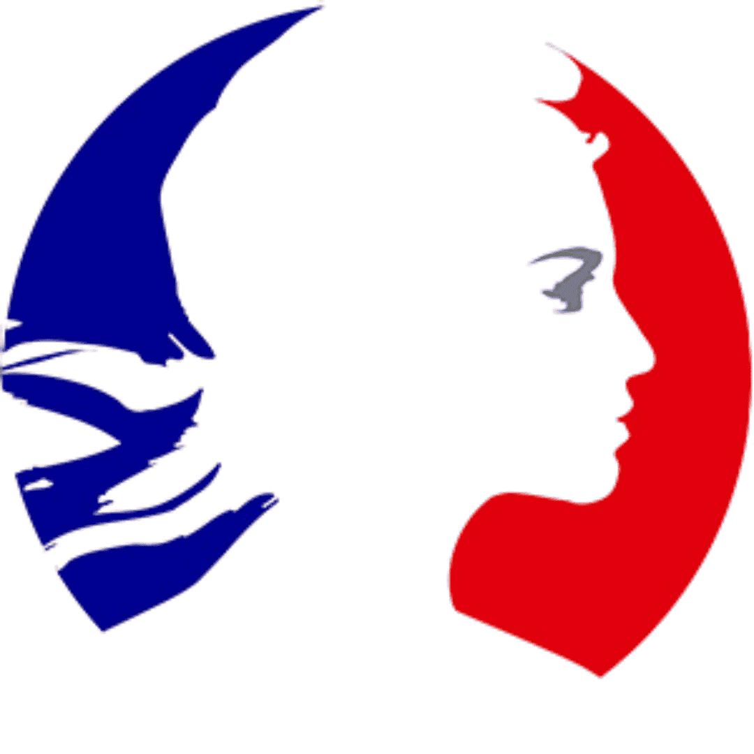 Direction Générale de la Sécurité Extérieure (DGSE)